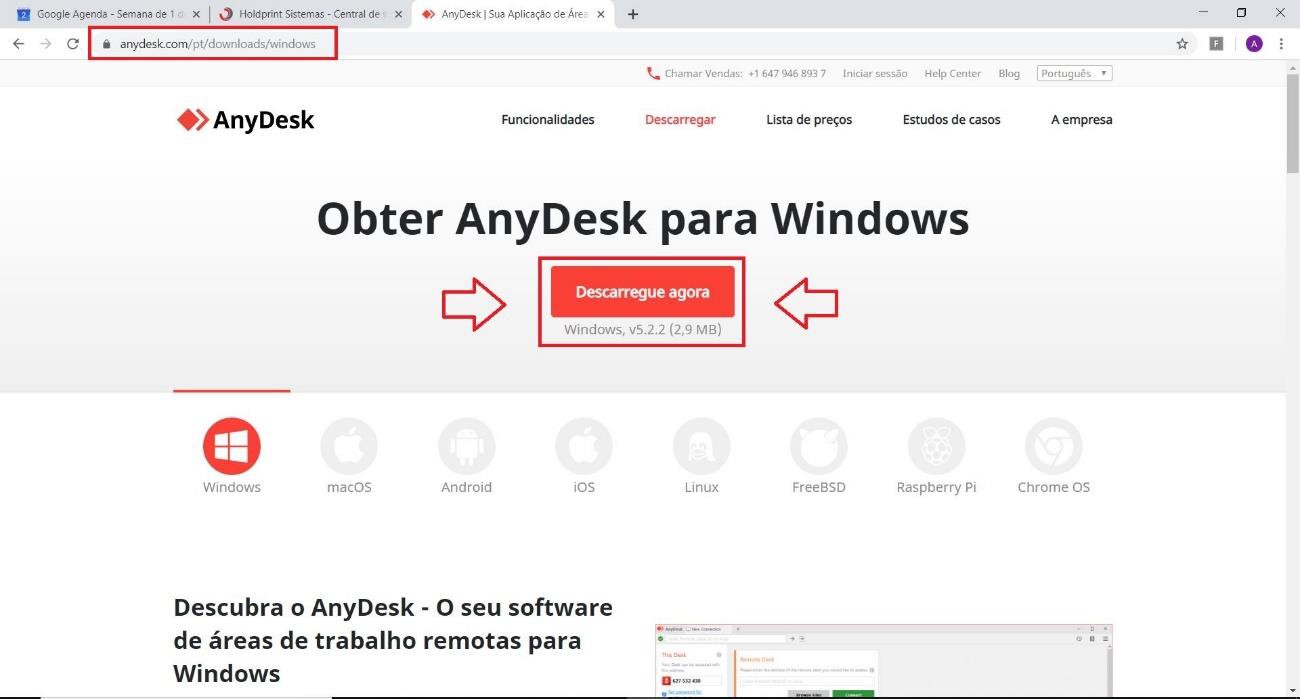 anydesk pt downloads windows